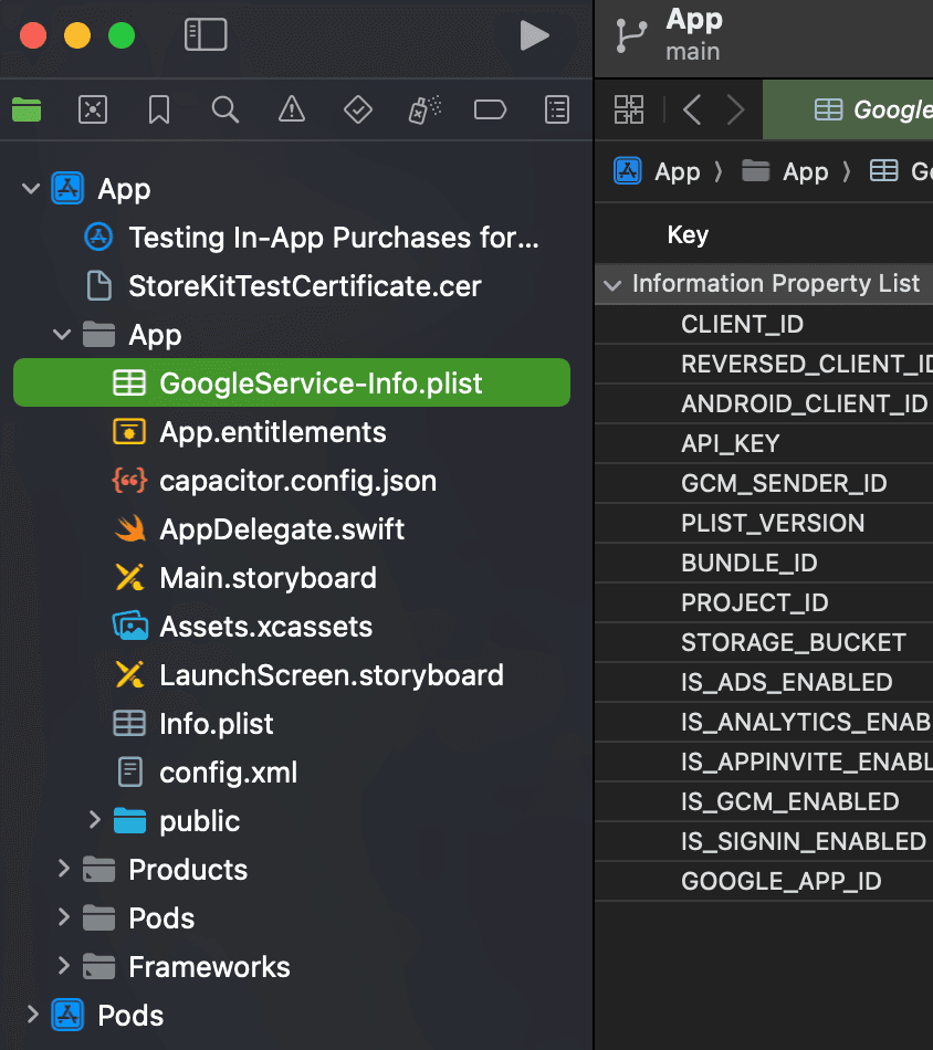 Put Firebase config iOS