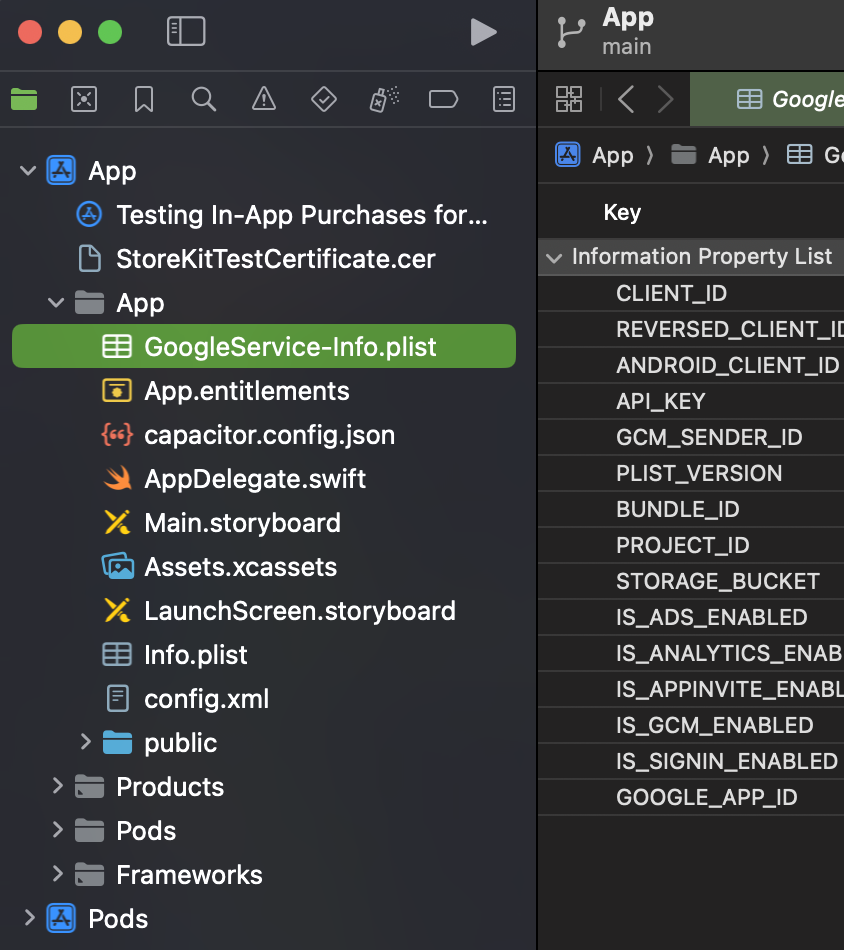 Put Firebase config iOS